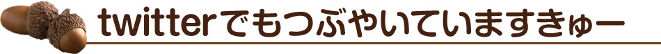 Twitterでもつぶやいていますきゅー